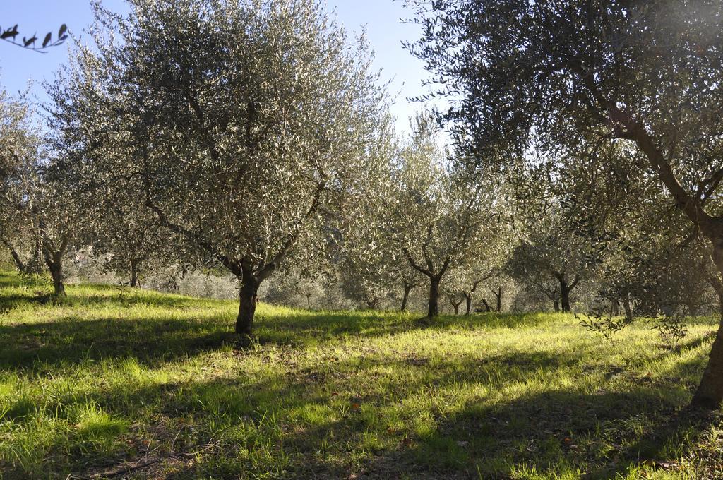 Podere Le Monache Montaione Zewnętrze zdjęcie