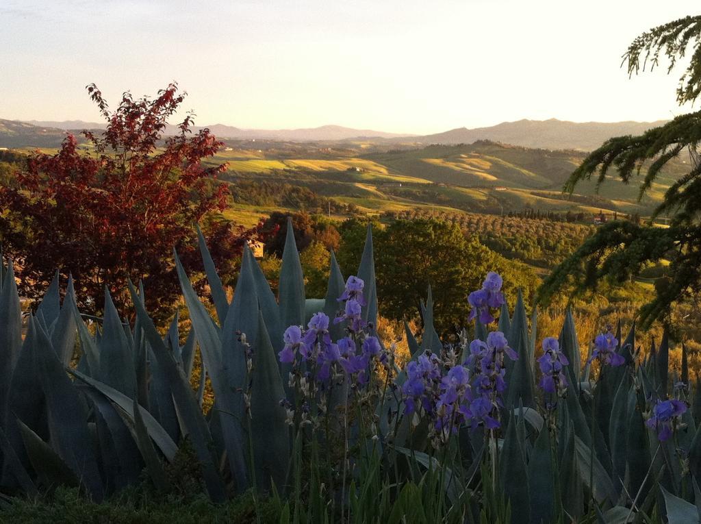Podere Le Monache Montaione Zewnętrze zdjęcie
