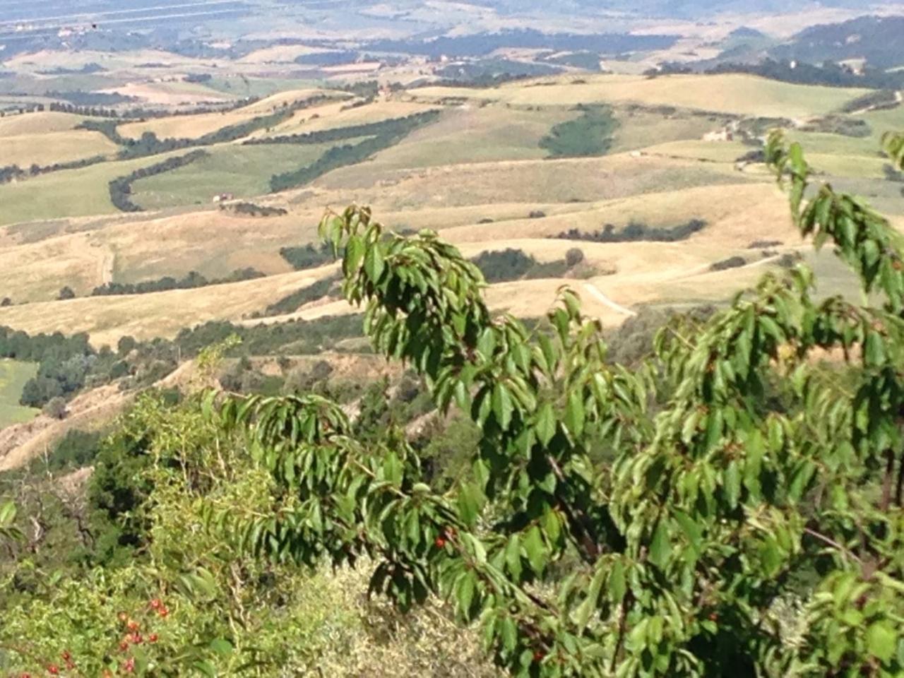 Podere Le Monache Montaione Zewnętrze zdjęcie