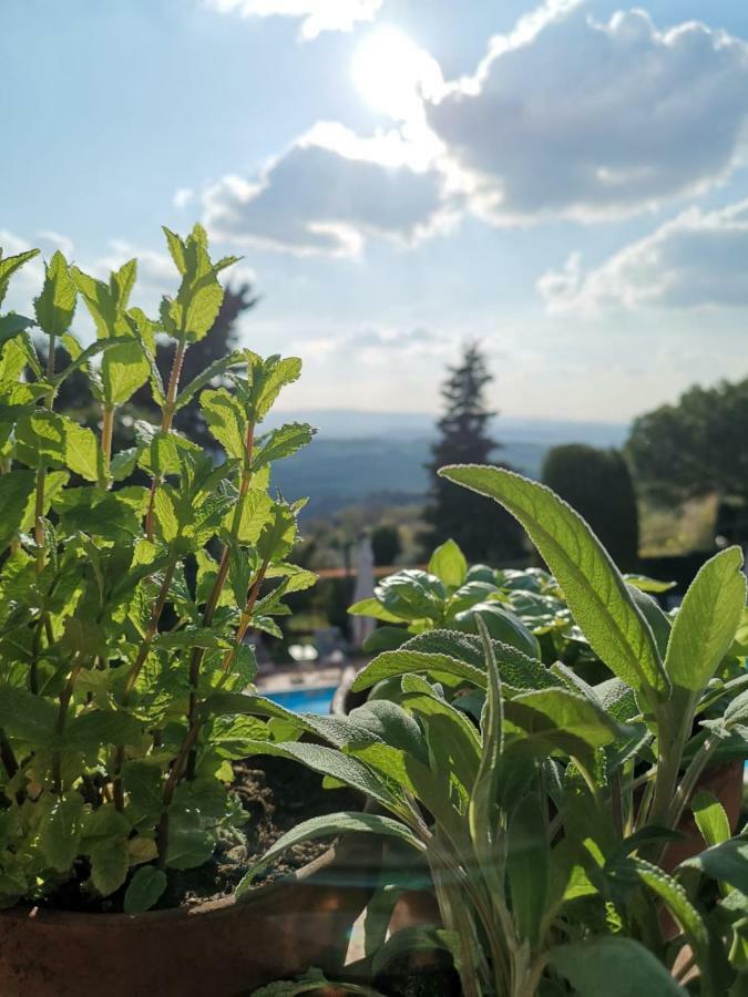 Podere Le Monache Montaione Zewnętrze zdjęcie